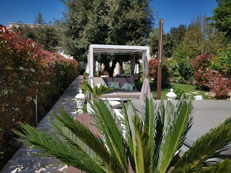 Apulia Dream B&B Le Lamie di Olimpe ภายนอก รูปภาพ